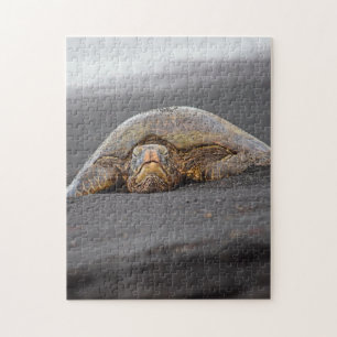 Sea Turtle - Black Sand Beach - Hawaii Puzzle Pussel