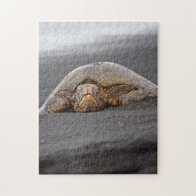 Sea Turtle - Black Sand Beach - Hawaii Puzzle Pussel (Vertikal)