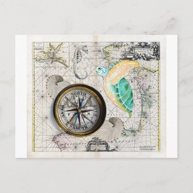 Sea Turtle Compass Vintage Vykort (Framsida)