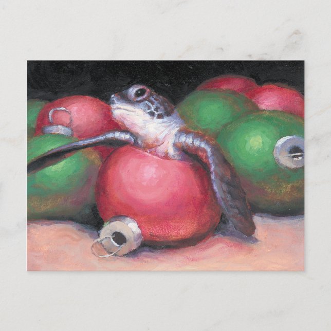 Sea Turtle Florida-julvykort Helg Vykort (Framsida)