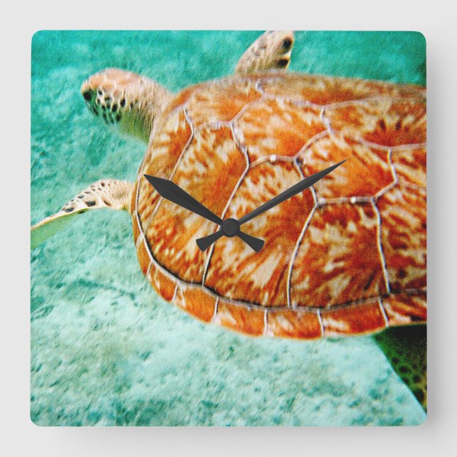 Sea Turtle Fyrkantig Klocka (Framsida)