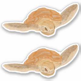 Sea Turtle i Vatten - transparent. Klistermärken