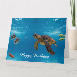 Sea Turtle Kort