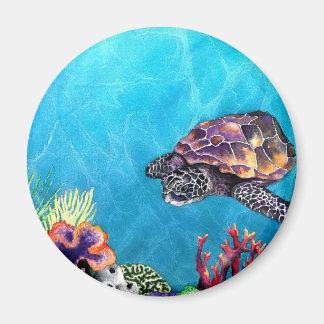 Sea Turtle Magnet