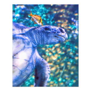 SEA TURTLE MANICURE FOTOTRYCK