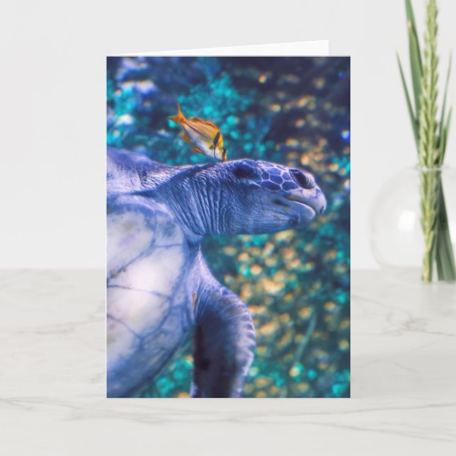 SEA TURTLE MANICURE KORT (Framsida)