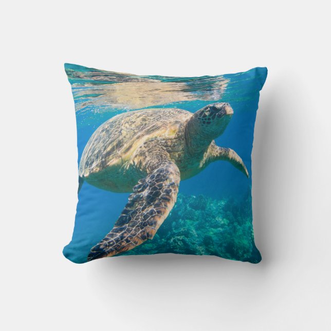 Sea Turtle, Marine Turtle, Chelonioidea, reptile Kudde (Framsida)
