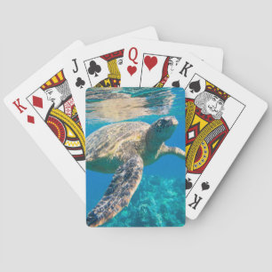 Sea Turtle, Marine Turtle, Chelonioidea, reptile Spelkort