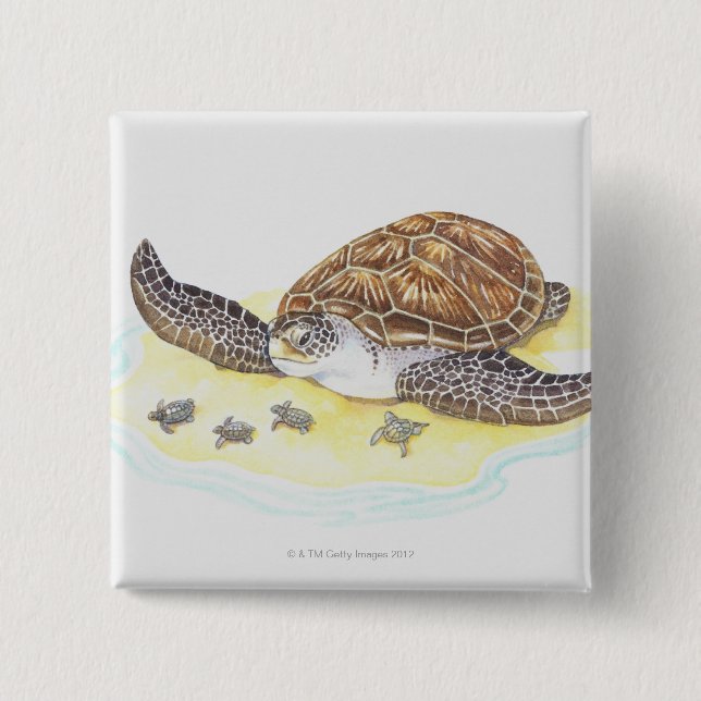 Sea Turtle och Spädbarn Knapp (Framsida)