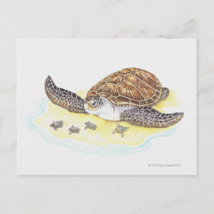Sea Turtle och Spädbarn Vykort