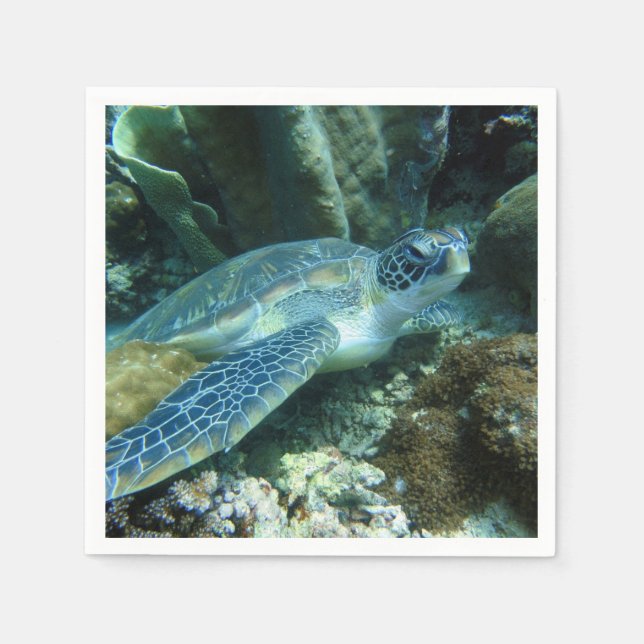Sea Turtle on Seabed Photo Pappersservett (Framsidan)