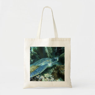 Sea Turtle on Seabed Photo Tygkasse