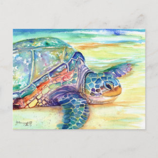 Sea Turtle on Tropical Beach Postcard Vykort
