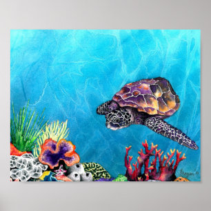 Sea Turtle Poster