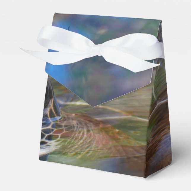 Sea Turtle Presentaskar (Framsidan Sidan)