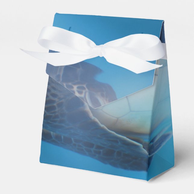 Sea Turtle Presentaskar (Framsidan Sidan)