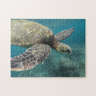 Sea Turtle Puzzle Pussel