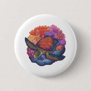 Sea Turtle Reef Knapp