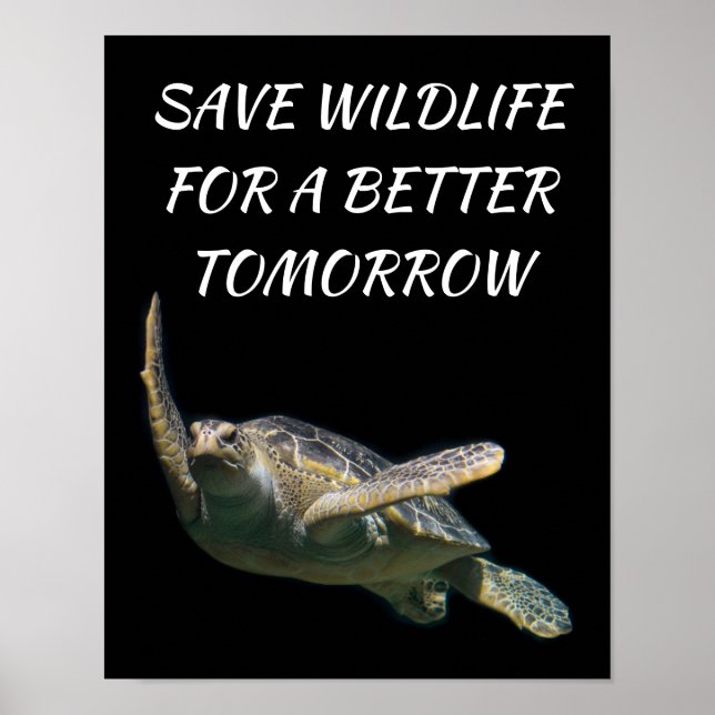Sea Turtle, Spara Wildlife för en bättre morgondag Poster (Framsidan)