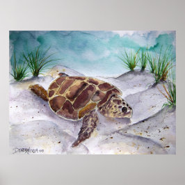 sea_turtle_tavla_2 poster