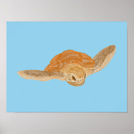 Sea Turtle under Vatten - transparent. Poster