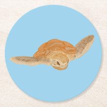 Sea Turtle under Vatten - transparent.