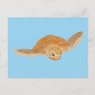 Sea Turtle under Vatten - transparent. Vykort