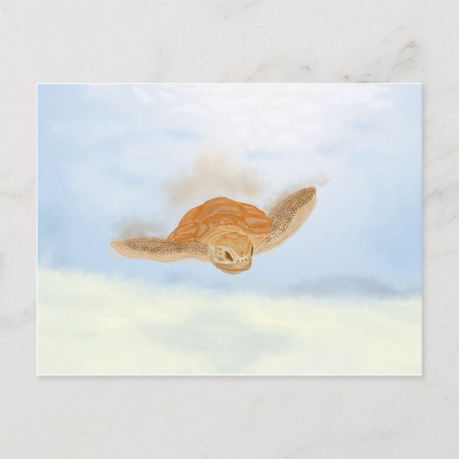 Sea Turtle under Vatten. Vykort (Framsida)