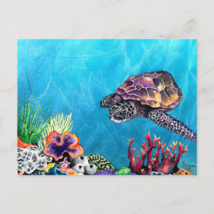 Sea Turtle Vykort