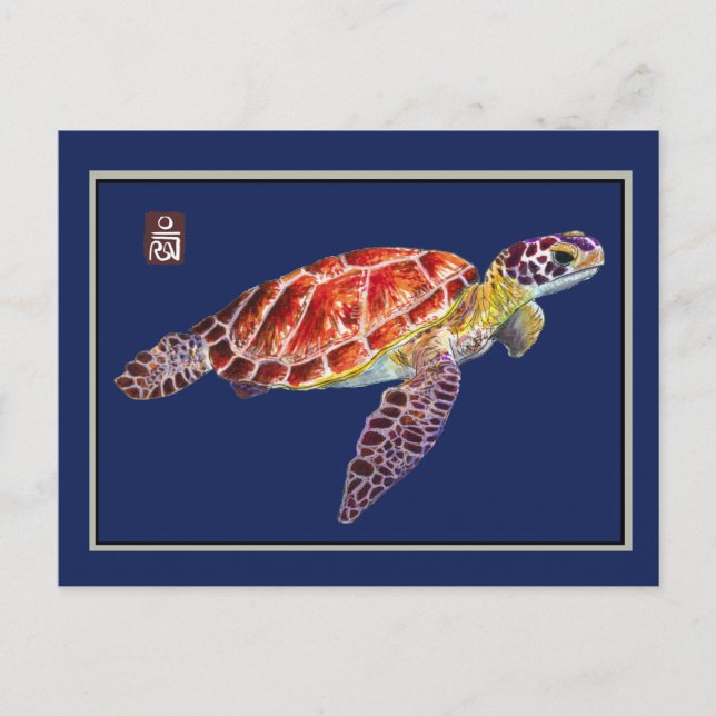Sea Turtle-vykort Vykort (Framsida)