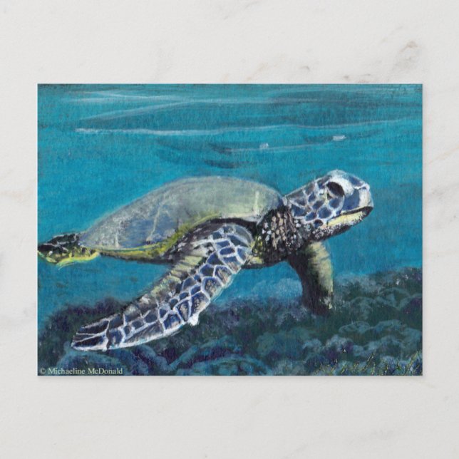 Sea Turtle-vykort Vykort (Framsida)