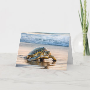 Sea Turtle Walking an Ocean Beach Kort