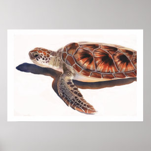 Sea Turtle Wildlife Watercolor Art Poster