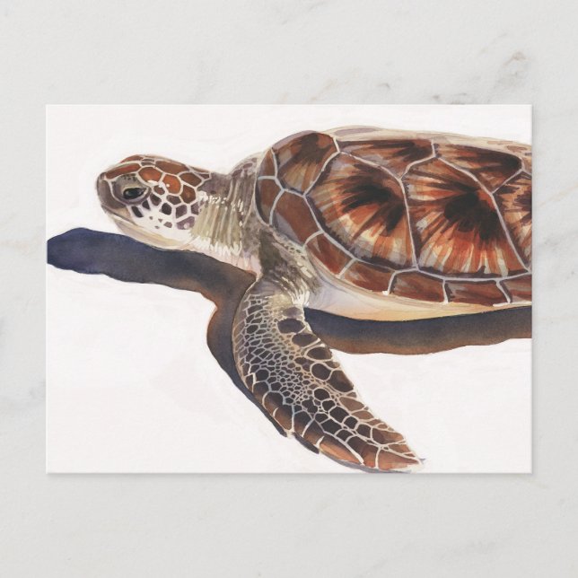 Sea Turtle Wildlife Watercolor Art Vykort (Framsida)