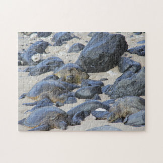 Sea Turtles i Maui Pussel