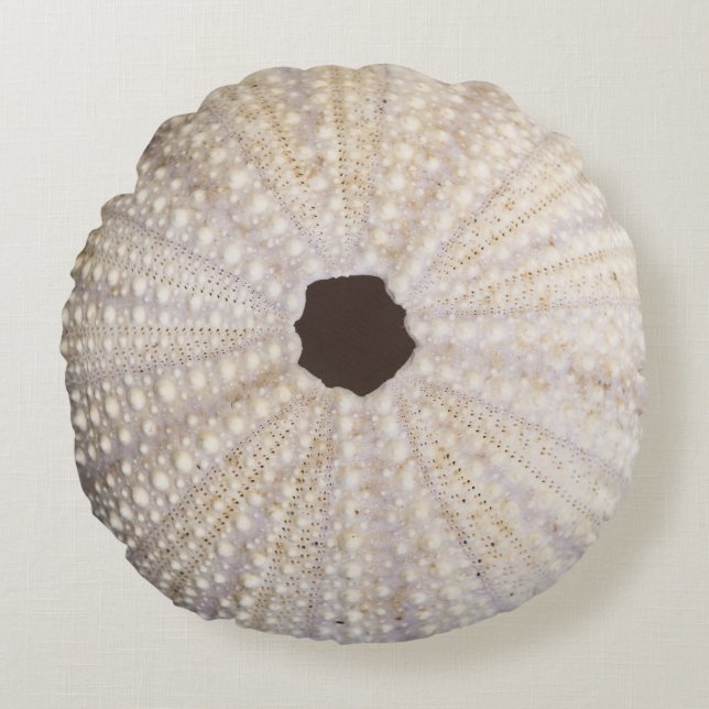 Sea Urchin Cotton Dekorativ kudde (Framsidan)