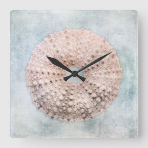 Sea Urchin Distress Coastal Blue Cream Målning Fyrkantig Klocka