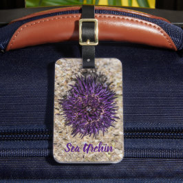 Sea Urchin Ocean Beach Helgdag Sommar Souvenir Bagagebricka