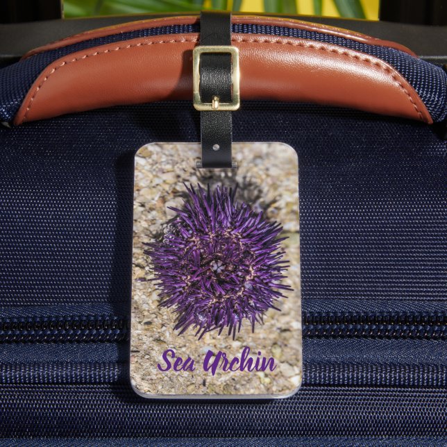 Sea Urchin Ocean Beach Helgdag Sommar Souvenir Bagagebricka (Framsida Insitu 2)