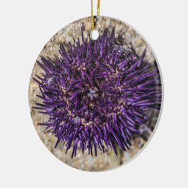 Sea Urchin Ocean Beach Helgdag Sommar Souvenir Julgransprydnad Keramik