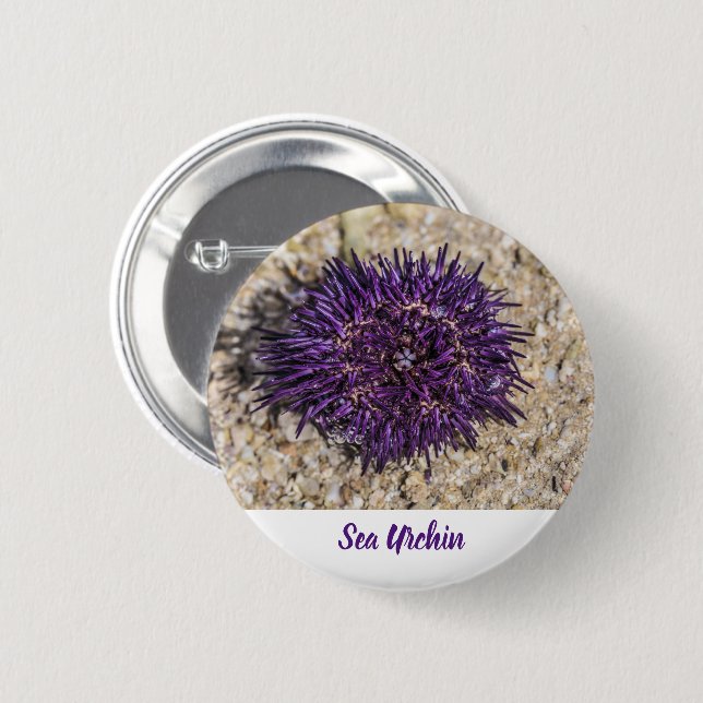 Sea Urchin Ocean Beach Helgdag Sommar Souvenir Knapp (Framsida & baksida)