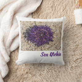Sea Urchin Ocean Beach Helgdag Sommar Souvenir Kudde