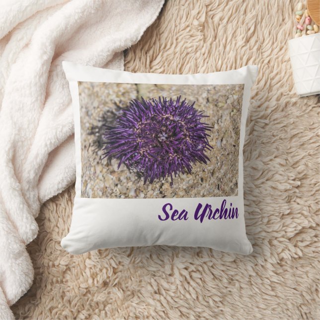 Sea Urchin Ocean Beach Helgdag Sommar Souvenir Kudde (Filt)