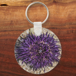 Sea Urchin Ocean Beach Helgdag Sommar Souvenir Nyckelring