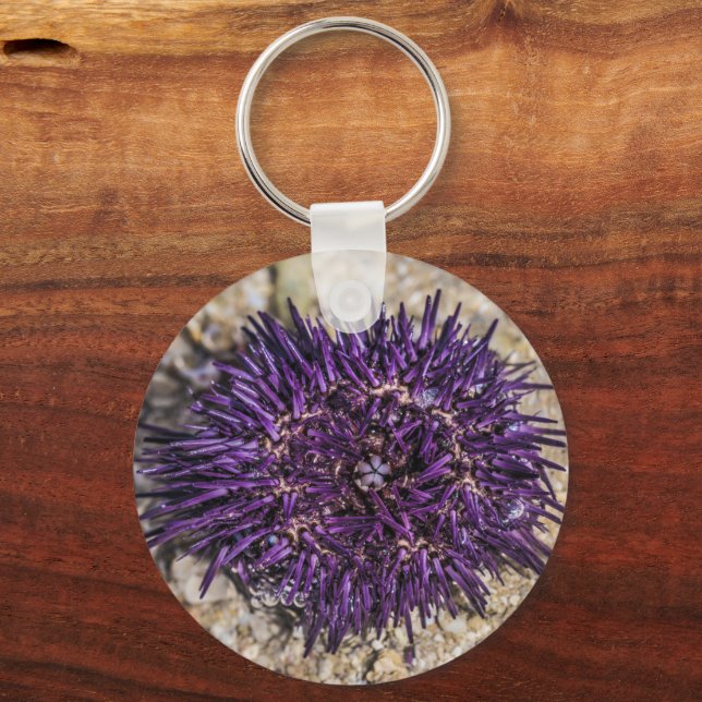 Sea Urchin Ocean Beach Helgdag Sommar Souvenir Nyckelring (Framsida)