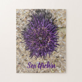 Sea Urchin Ocean Beach Helgdag Sommar Souvenir Pussel