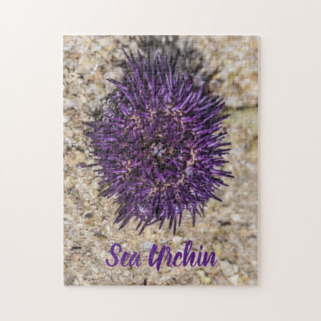 Sea Urchin Ocean Beach Helgdag Sommar Souvenir Pussel (Vertikal)