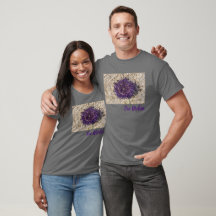 Sea Urchin Ocean Beach Helgdag Sommar Souvenir