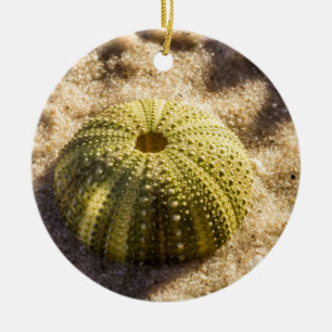 Sea Urchin på strand Julgransprydnad Keramik