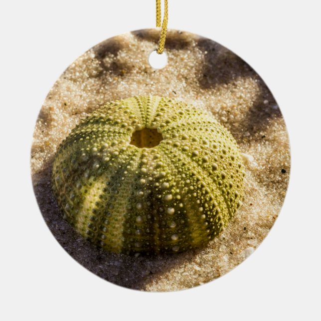 Sea Urchin på strand Julgransprydnad Keramik (Framsidan)